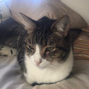 Meet your Posher, Linda